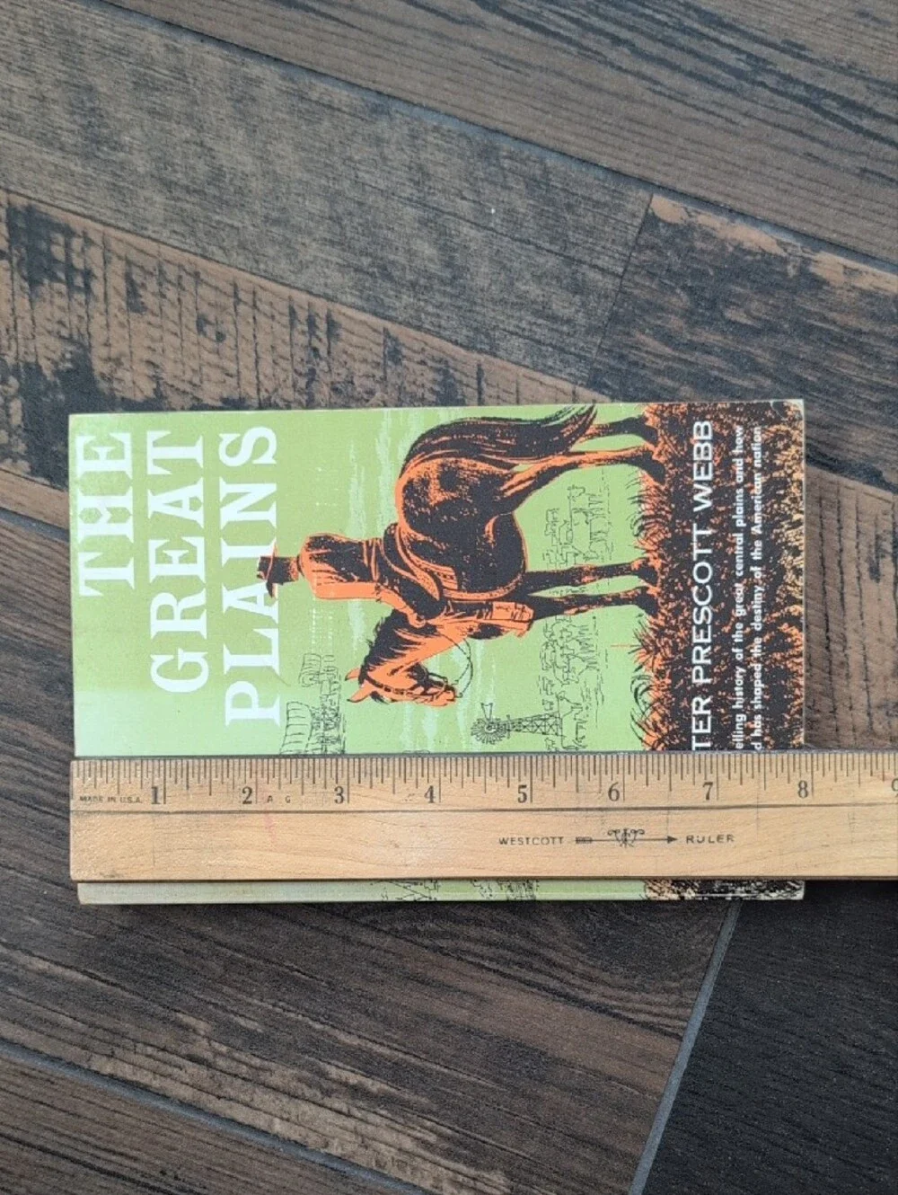 Rare 1931 The Great Plains by Walter Prescott Webb Vintage Cowboy Art Cover